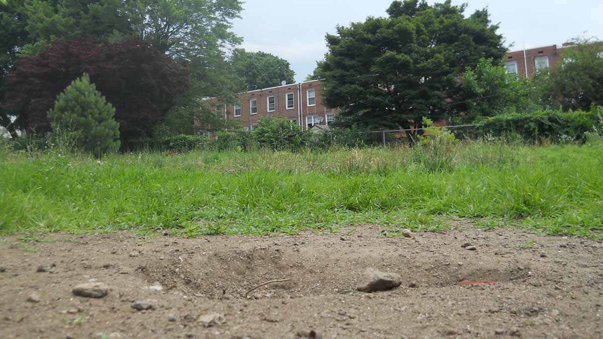  This lot on Mitchell Street in Roxborough has been vacant for nearly 30 years. (Kayla Cook and Sean Smith of Philadelphia Neighborhoods/for NewsWorks) 