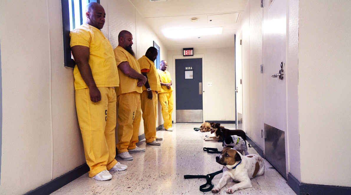 Darren Hardison and Duchess, Scott Ryan and Roe, Richard King and Juno, and Duncan Davis and Cinnamon at the Camden County Correctional Facility. (Kimberly Paynter/WHYY)