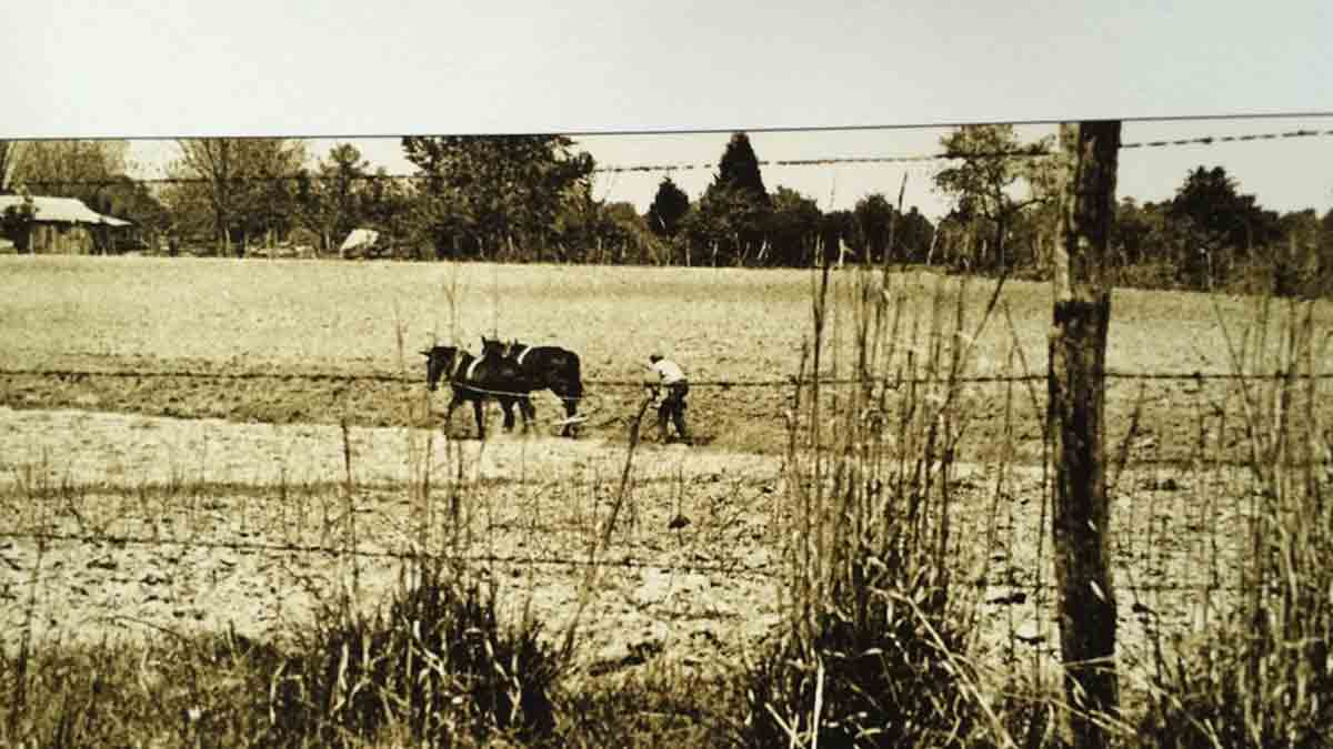  Photo taken by Julius Lester featured in the exhibit The Black South in the Sixties. (Photo courtesy of J. Lester) 