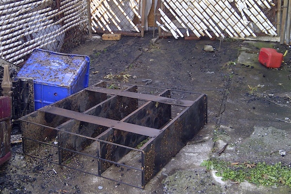 <p><p>Among the debris outside the house was a gas can. (Brian Hickey/WHYY)</p></p>
