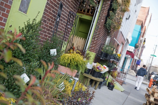 Urban Jungle specializes in urban landscaping and vertical gardens and green walls. (Lindsay Lazarski/WHYY)