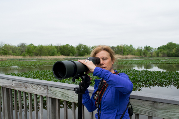 ebird2