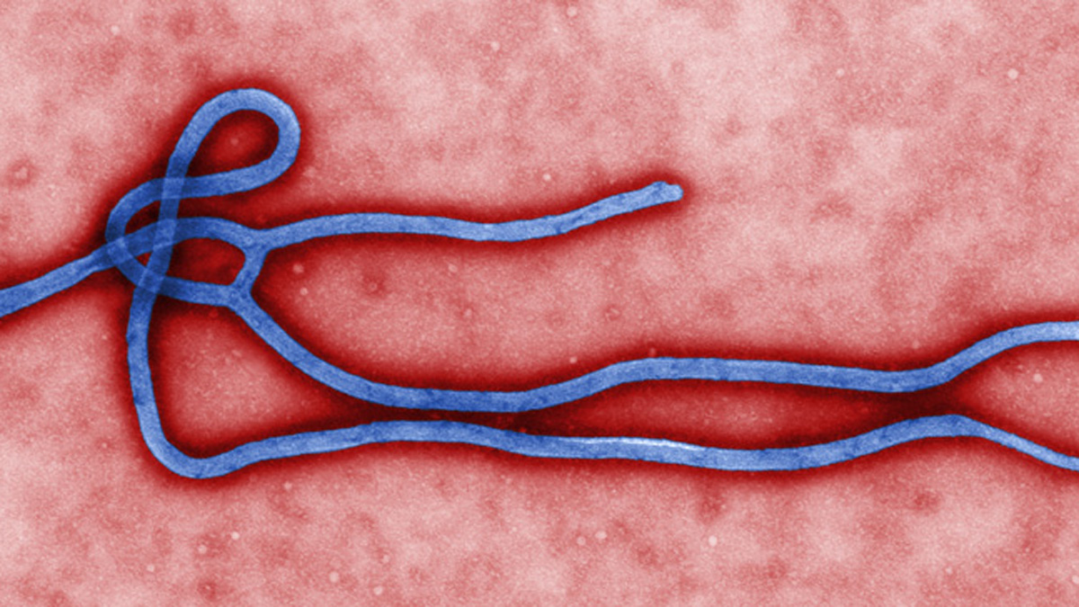  (Centers for Disease Control and Prevention)  