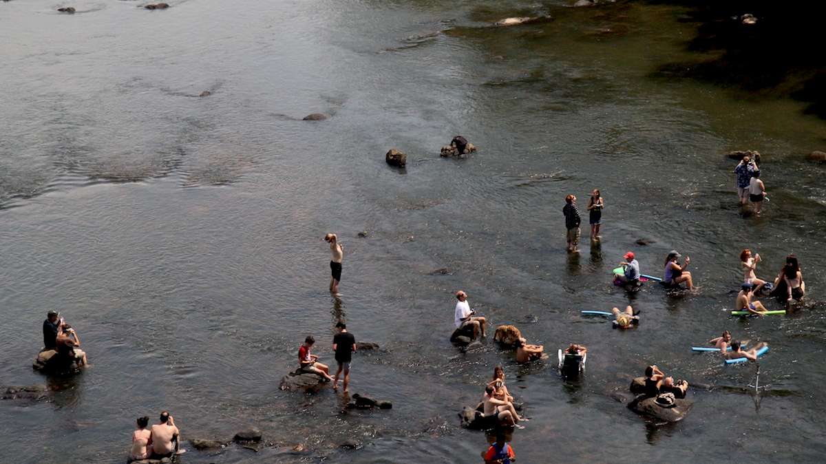 People gather in the Congaree river in Columbia, South Carolina, during the 2017 total solar eclipse. (Kimberly Paynter/WHYY)