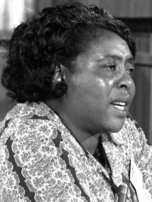 Fannie-Lou-Hamer 300