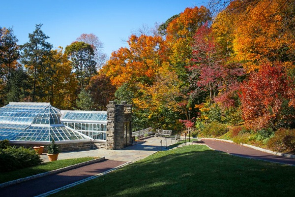 <p><p>Colorful Maple trees surrrround the Morris Arboretum Ferrnery. (Howard Pitkow/for NewsWorks)</p></p>
