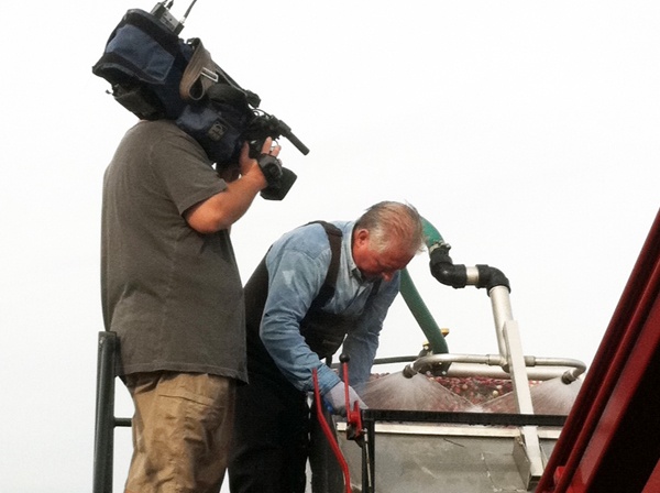 <p>First photographer Paul Parmelee shooting video of Tim Johnson sorting berries.</p>
