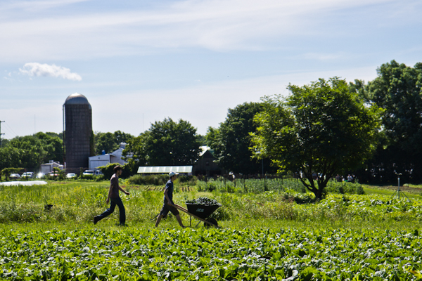 farmer2