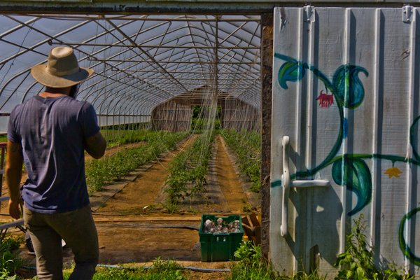 farmer3