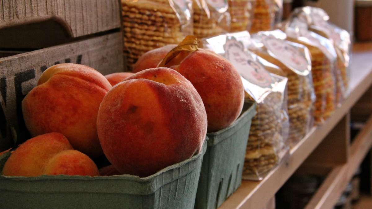 The Erace brothers seek out small local farms using organic methods to stock their shelves. (Emma Lee/WHYY)
