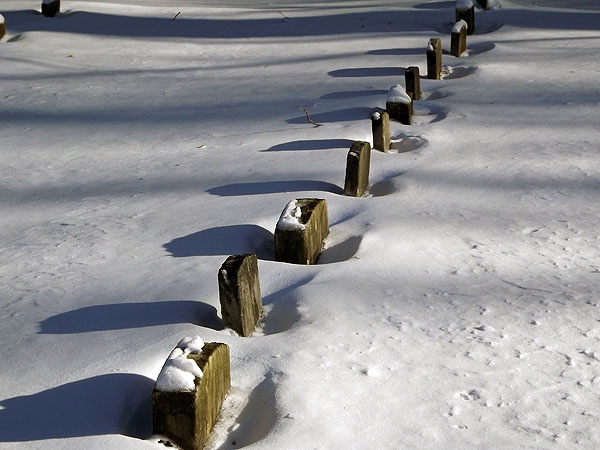 <p><p>Fugitive slaves who died on their way to freedom were buried in the cemetery in unmarked graves. (J. Woods/NewsWorks)</p></p>
