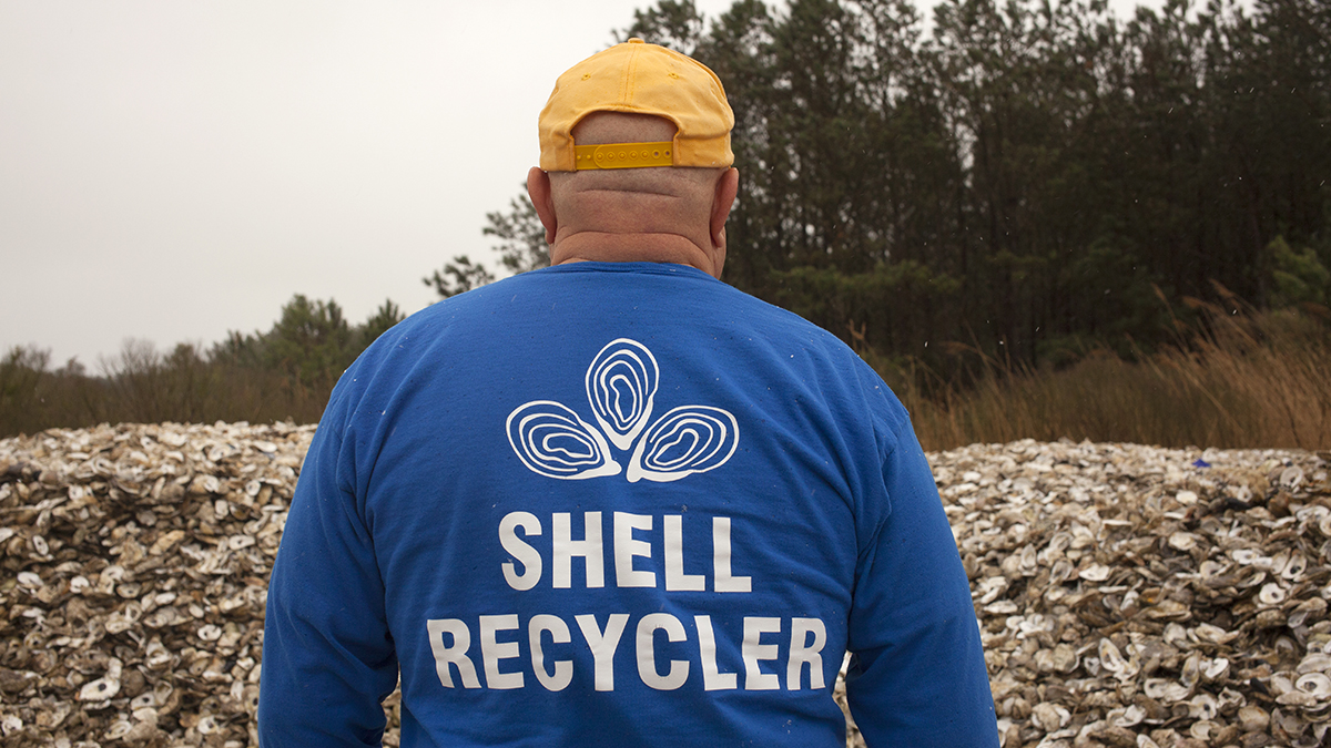 Dave Ritondo makes rounds to more than a dozen restaurants on the Delaware coast, collecting oyster shells to recycle. (Irina Zhorov/The Pulse)