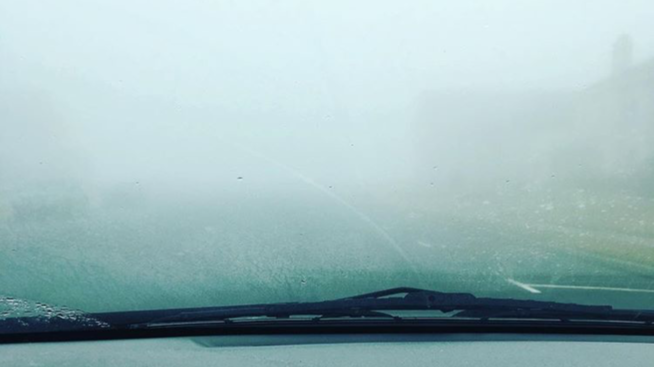  (Image: @manekeneko via Instagram) 