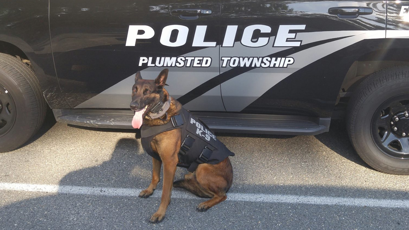  Plumsted Police Department image.  