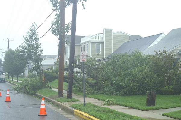 This became a common site in parts of New Jersey, as large trees fell onto power lines in Ocean City. (Tom MacDonald/For NewsWorks)