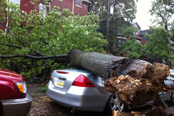 A large tree fell onto a car Saturday night as Hurricane Irene ripped through this Philadelphia nieghborhood, on the 4500 block of Osage Avenue. (John Meyers/For NewsWorks)