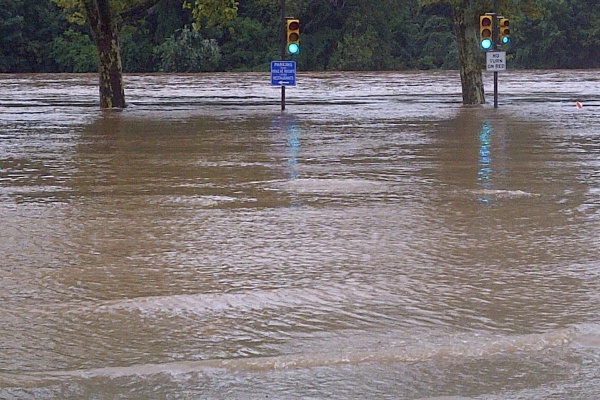 Flood waters crept up Midvale Avenue in northeast Philadelphia Sunday morning. (Brian Hickey/For NewsWorks)