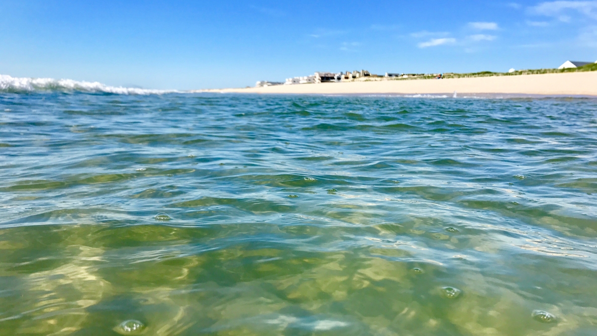 Atlantic Ocean in N.J.