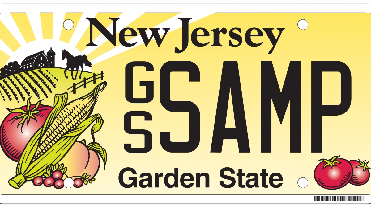  State of NJ image. 