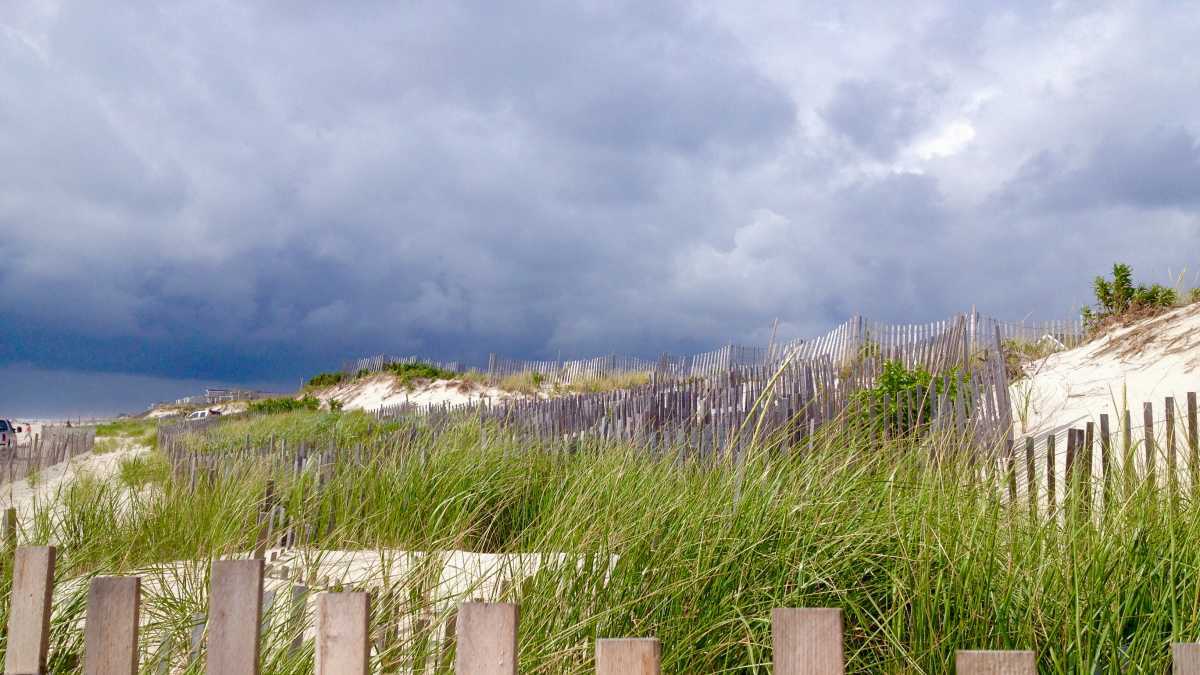  A South Seaside Park dune in 2015. (Image: Justin Auciello/for NewsWorks) 