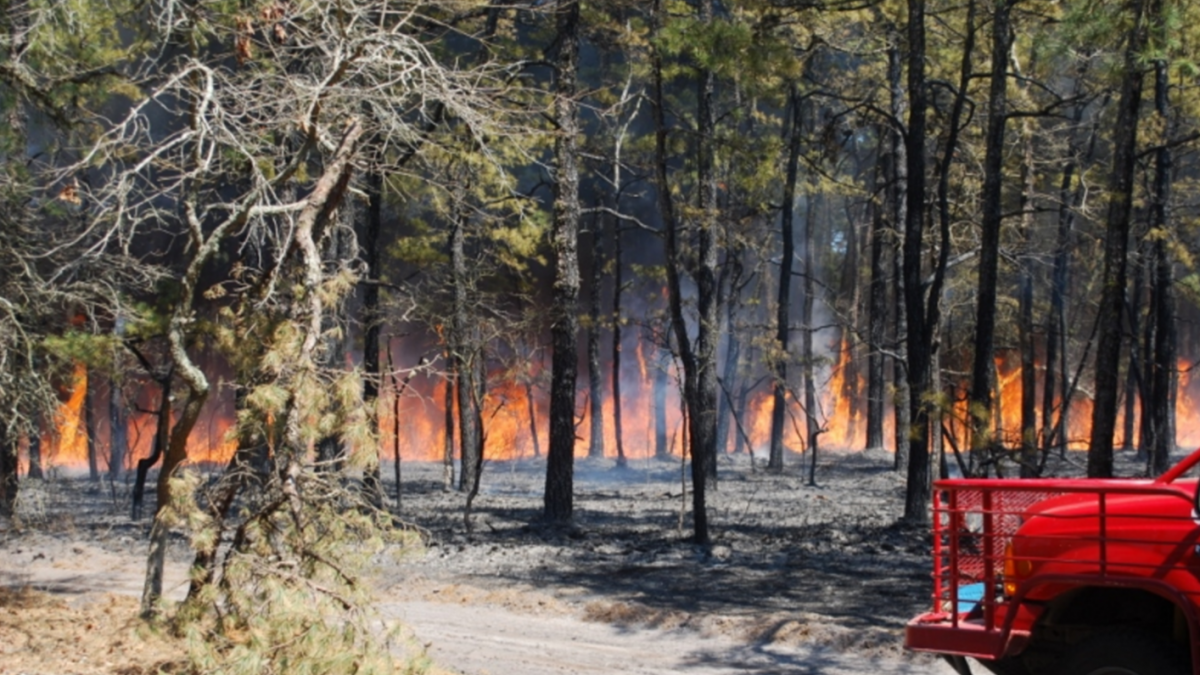 A wildfire in Wharton State Forest in April 2016. (Photo: John H. Rieth/NJFFS) 
