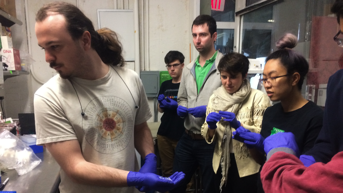  Genspace Lab Manager Will Shindel passes out pipette tips to the students while explaining their lab protocol for the day. (Alan Yu/WHYY) 