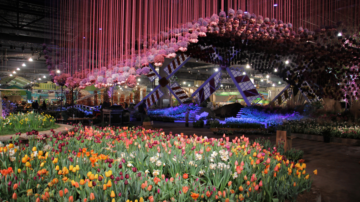 The 2017 Philaderlphia Flowar Show is inspired by Holland, with its tulips, windmills bicycles and canals. (Emma Lee/WHYY)