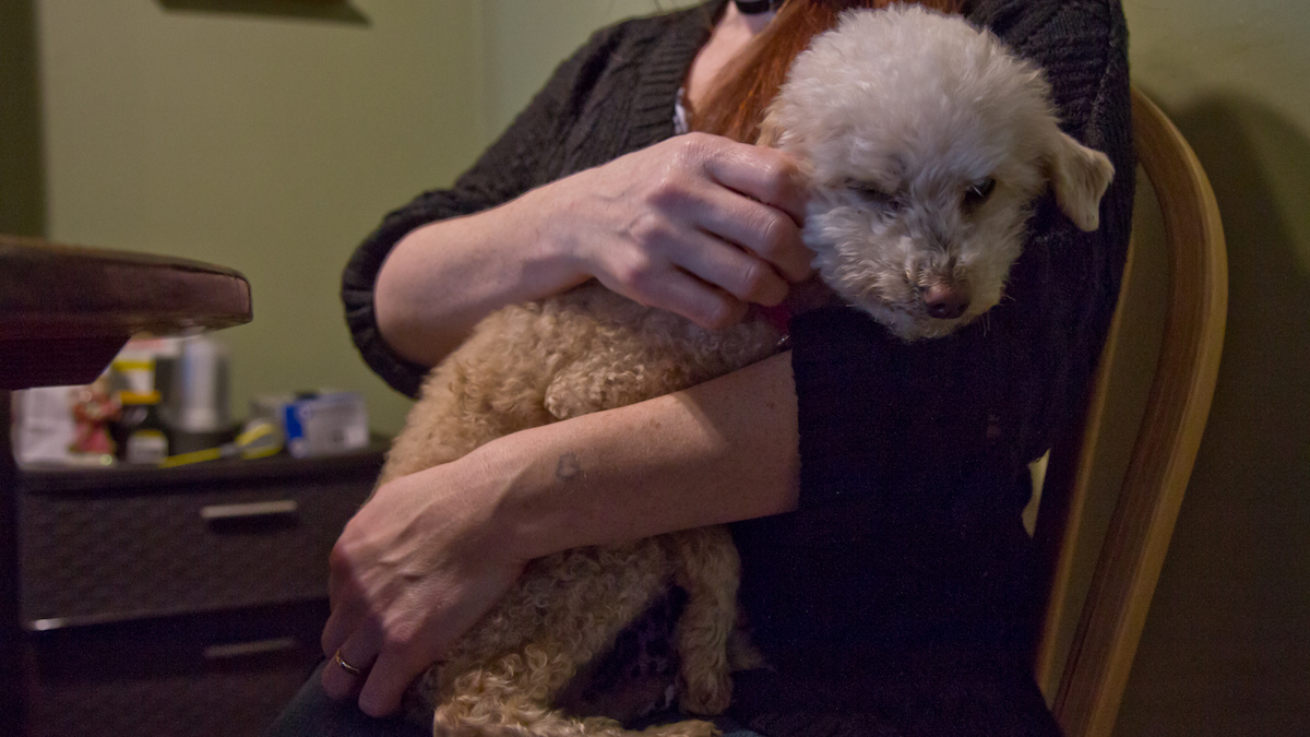 Leanne, who overstayed a tourist visa from the United Kingdom to take care of her sick father, and her dog Lily at their home in Chester County. (Kimberly Paynter/WHYY)