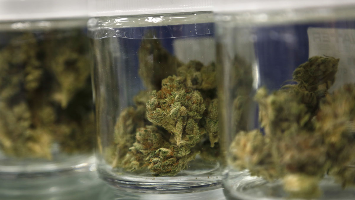  In this photo, different strains of marijuana are displayed at Breakwater Treatment and Wellness in Cranbury, N.J.  (AP Photo/Seth Wenig) 