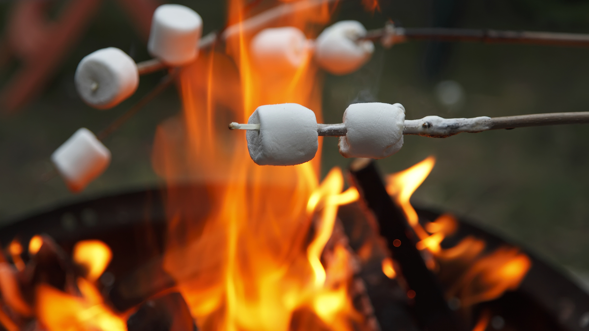  Camp isn’t just for fun anymore. It’s about building a resume, a skill-set, a profile, a future. 