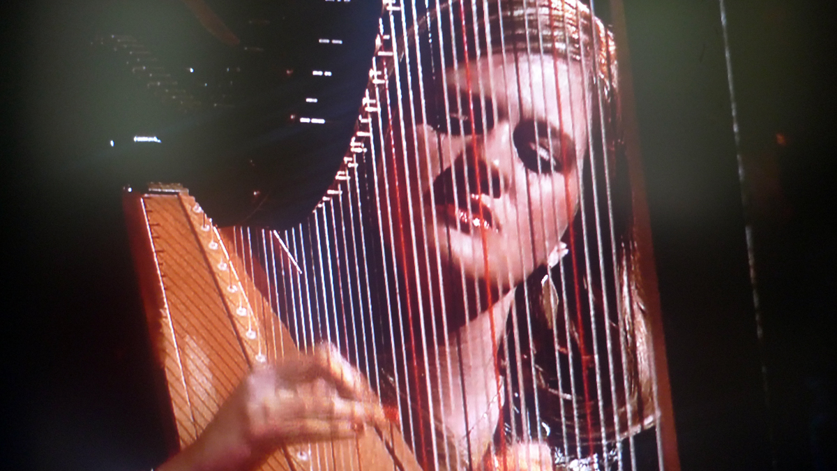  Mary Lattimore (<a href='http://marylattimoreharpist.tumblr.com/'>marylattimoreharpist.tumblr.com/</a>) 