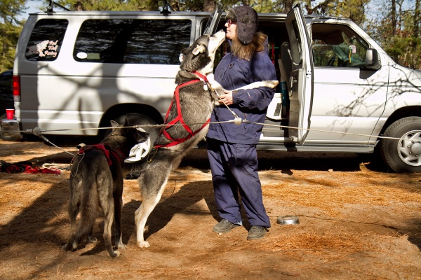 New Jersey musher Patty Quinn-Rillo recieves a kiss from Mojito, a Siberian Huskey. (Lindsay Lazarski/WHYY)