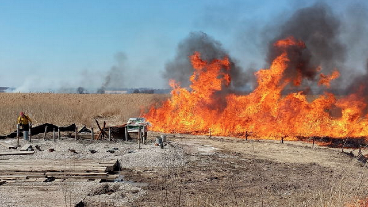  New Jersey Forest Fire Service image. 
