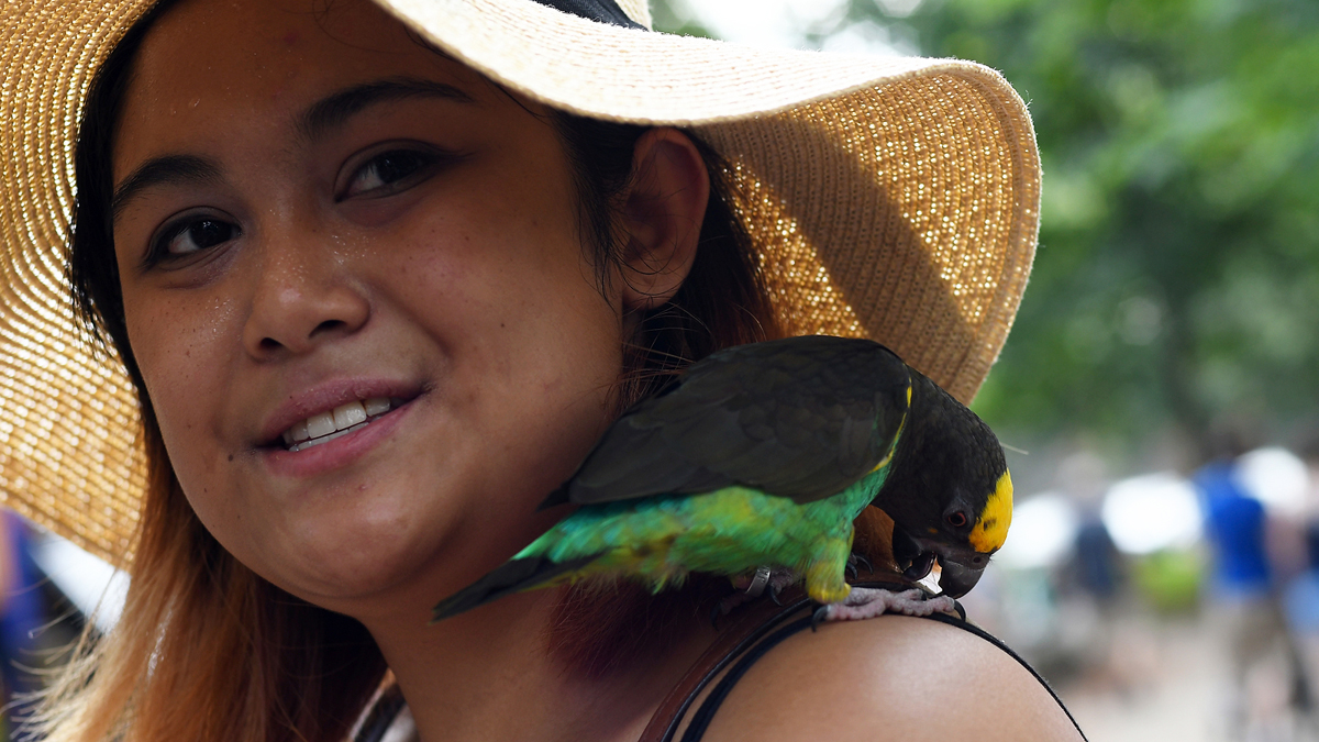 Kristin Buenaventura, of West Philadelphia, smiles as her pet-bird Pepino sits on her shoulder at the annual Clark Park Festival in West Philadelphia, On Saturday July 7th, 2017. (Bastiaan Slabbers for NewsWorks)