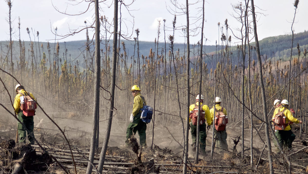 Firefighters at Aggie Creek  (Courtesy of Peter Handler)