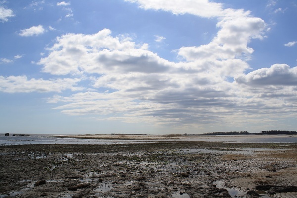<p><p>Water from the Delaware Bay flows past what used to be sand dunes at Fowler Beach.  The salt water is changing the make up of the refuge. (Mark Eichmann/WHYY)</p></p>
