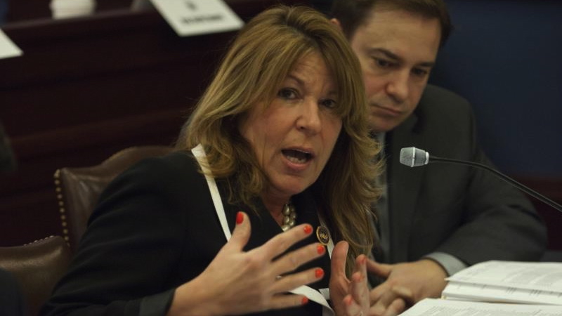  State Rep. Tina Davis, D-Bucks, lobbies for regulation of recovery houses in front of the Pennsylvania Legislature.(PAHouse.com) 