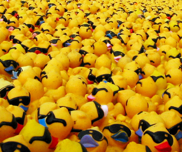 rubber-ducks 600x500