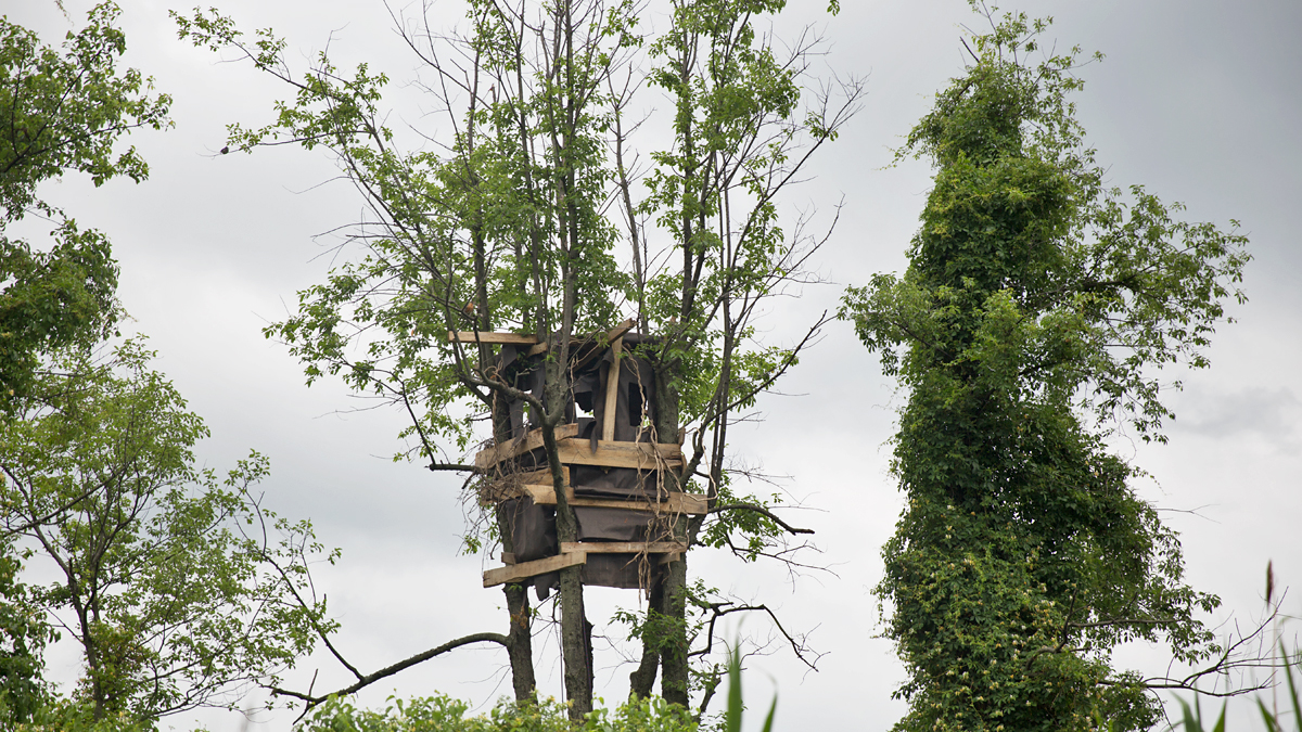  The artist constructed the structures with salvaged wood they pulled from the shores of the Delaware River. (Lindsay Lazarski/WHYY) 