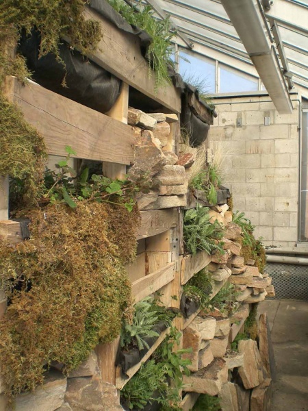 <p><p>The Saul High School greenhouse is where Horticulture students are assembling "Tee Time." (Carrie Hagen/for NewsWorks)</p></p>

