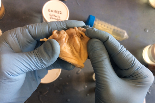 science3