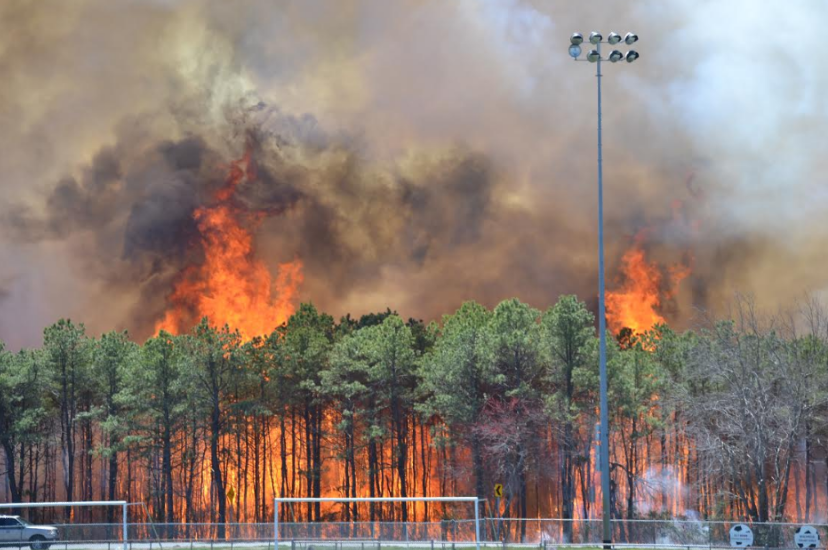 Flames from a massive wildfire that consumed hundreds of wooded acres in Beachwood and Berkeley in April 2014. (Image: courtesy Jessica Bonelli via JSHN) 