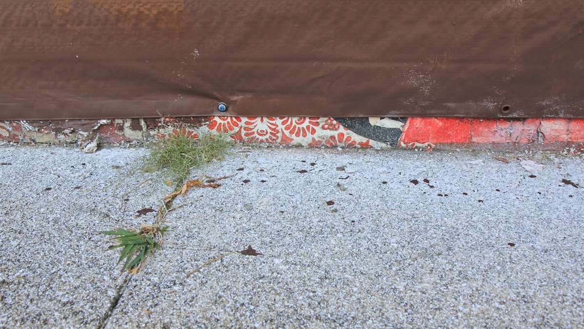 Rocket Cat Cafe owner Karen Breese was surprised by the sloppiness of the vandalism which included white paint all over the sidewalk. (Kimberly Paynter/WHYY)
