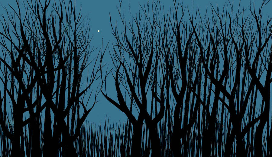 starandtrees900