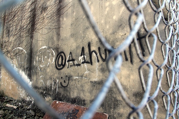 <p>This home on Dorrance Street is falling apart, marred by graffiti, and covered in vines. Investigators say it was one of 22 that were stolen. (Emma Lee/for NewsWorks)</p>
