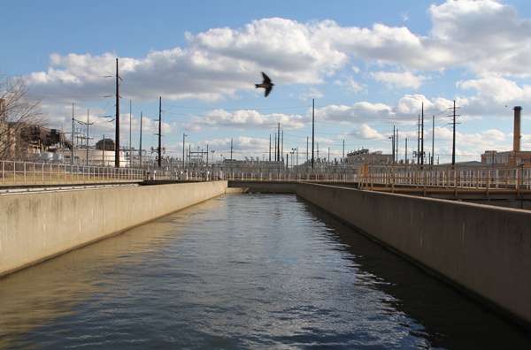 <p>Swallows dart to and fro above the chlorination tanks, where their food, insects called midges, survive year round. (Emma Lee/for NewsWorks)</p>
