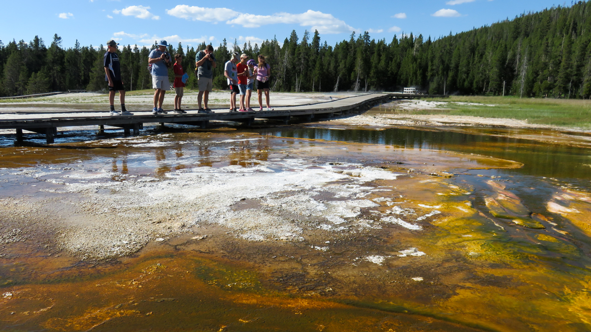Heat-loving bacteria, called thermophiles, thrive in the run-off channels of Pump Geyser where millions of microbes connect to create long strands, or filaments. Flowing water helps weave the filaments into bacteria mats that can be as thin as tissue paper or as thick as lasagna. (Rebecca Huntington/for WHYY)