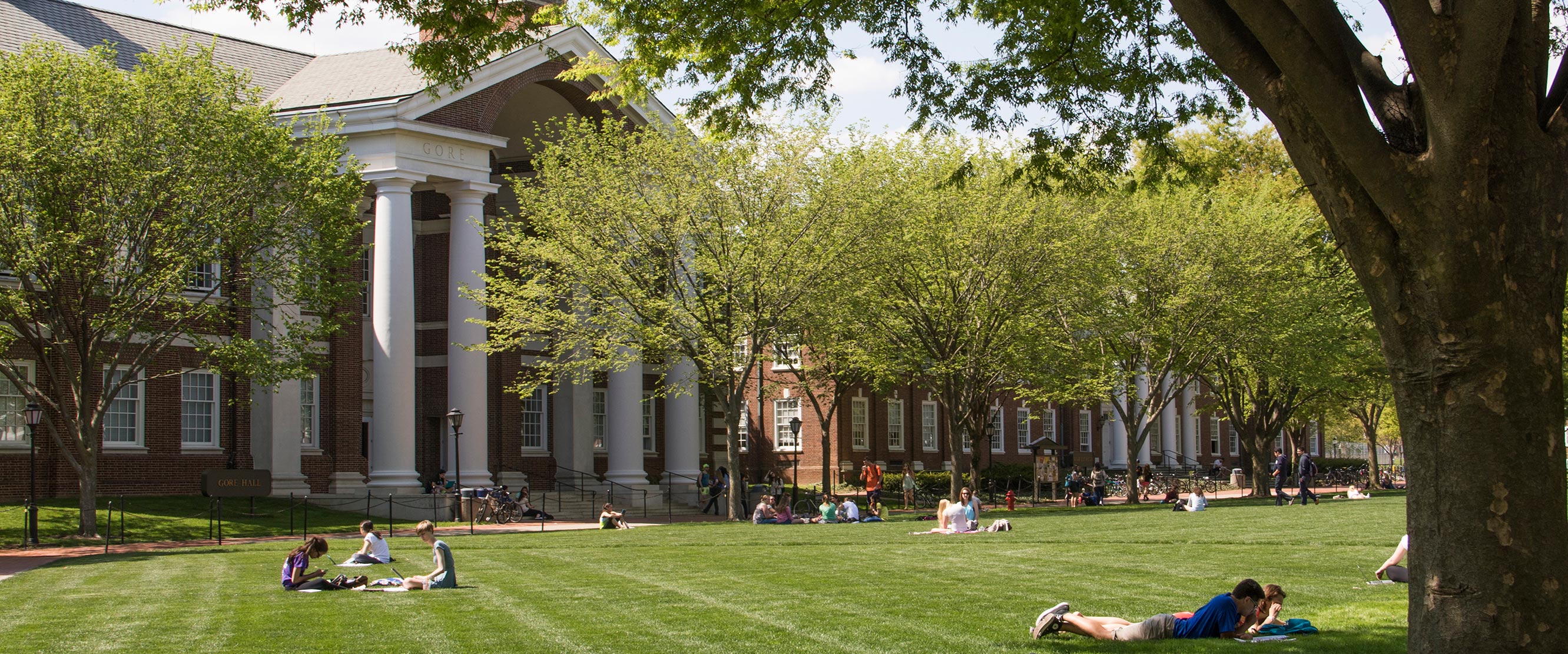  The University of Delaware has severed ties with adjunct professor Katherine Dettwyler over her harsh remarks about Otto Warmbier and her students. (University of Delaware) 