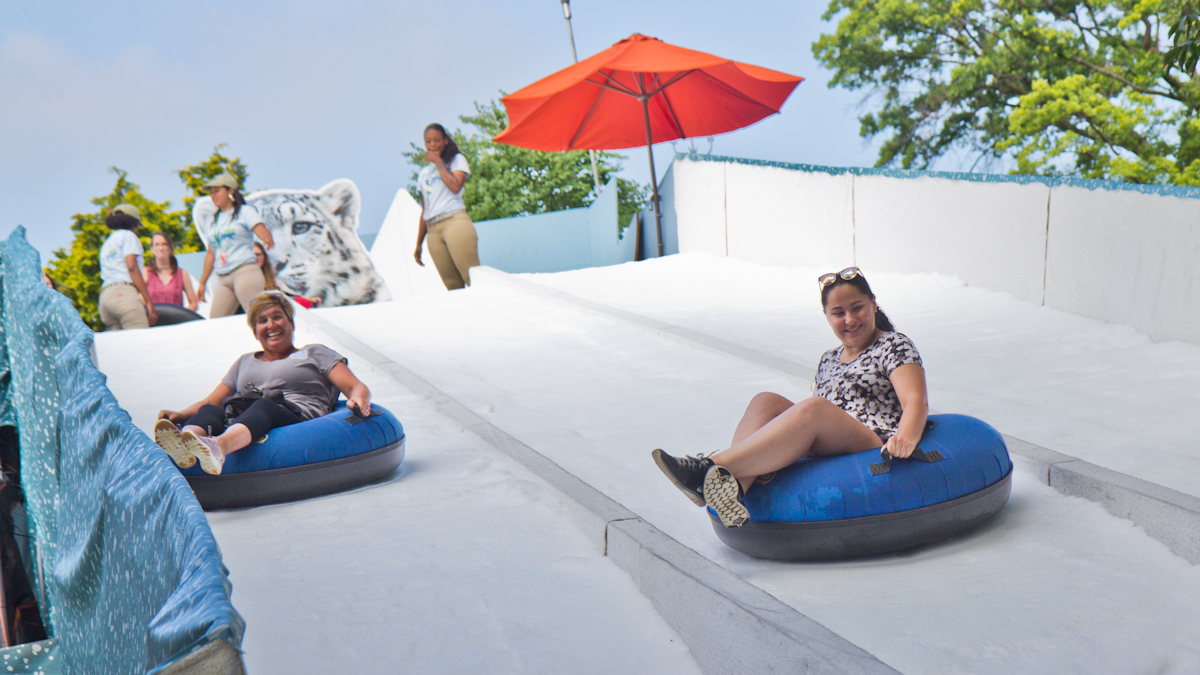 The Winter exhibit features a snow-covered slide for tubing. (Kimberly Paynter/WHYY)