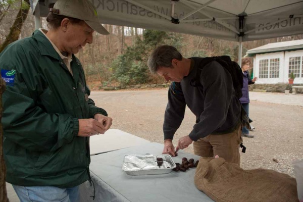 <p><p>Frank Tuplin opens a raw chestnut while watching Friends of the Wissahickon Volunteer Coordinator Dan Mercer score chestnuts that are about to be roasted on an open fire. (Dave Tavani/for NewsWorks)</p></p>
